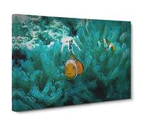 Clownfish & Sea Anemone in Abstract Canvas Print for Living Room Bedroom Home Office Décor, Wall Art Picture Ready to Hang, 30 x 20 Inch (76 x 50 cm)