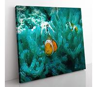 Clownfish & Sea Anemone in Abstract Modern Canvas Wall Art Print Ready to Hang, Framed Picture for Living Room Bedroom Home Office Décor, 50x50 cm (20x20 Inch)
