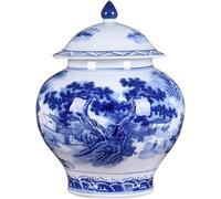 CLSDRZC Ginger Jar Blue And White Vase Decorative Jars Storage Jars With Lids Chinoiserie Ceramic