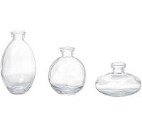 CLSDRZC Petite Glass Bud Vase Set of 3 - Fun Shapes,Glass Vase, Plant Flower