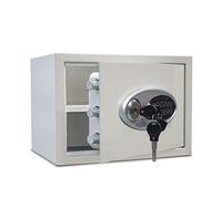 CLSDRZC Safes All Steel Safes, Metal Key Insurance Cabinet, 2-layer Alarm Wardrobe Anti-theft Password Lock Small SDeposit , 3 Colors SCabinet