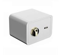 CLSDRZC Safes Safety Deposit ， Fingerprint 25cm Anti-theft Against the Wall Invisible Swith Keypad to Protect Money， Jewelry， Passports， 4 Colors SCabinet