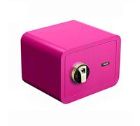 CLSDRZC Safes Safety Deposit ， Fingerprint 25cm Anti-theft Against the Wall Invisible Swith Keypad to Protect Money， Jewelry， Passports， 4 Colors SCabinet