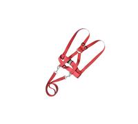 CLSSLVVBN Children Harness Travel Vest is Multi-Purpose Solution for Active Kids Engaging in Outdoor Sports and Games Walking Harness for Child Toddlers Kids Leash, Red, 39.5cm to 63cm