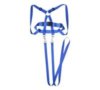 CLSSLVVBN Children Harness Travel Vest is Multi-Purpose Solution for Active Kids Engaging in Outdoor Sports and Games Walking Harness for Child Toddlers Kids Leash, Blue, 39.5cm to 63cm