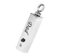 CLSSLVVBN Keepsake Pendant Ash Urn Pendant Memorial Cremation Durable Stainless Steel Jewelry Memories Anywhere Remembrance Jewelry Heart Print Casket Creamtion