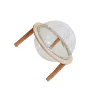 CLSSLVVBN Modern Cat Bed Is Comfortable Choice Featuring Transparent Cat House Kittens And Indoor Cats And Acrylic Space House All Seasons Kittens Hammock Nest Wooden Stand