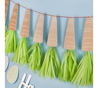 Club Green Carrot Tassel Paper Party Bunting, Peter Rabbit Party Decorations, 1st Birthday Party, Easter Backdrop, Kids Birthday Party Garland 2m