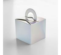 Club Green Iridescent Balloon Weight Box - Pack of 5 Club Green Multicolor