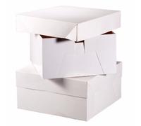 Club Green Square Cake Boxes (Pack Of 10) White (6In)