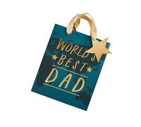 Club Green World's Best Dad Gift Bag - Pack of 1 Club Green Multicolor