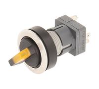 Club Selector, rastend, Stainless Steel, 23.001.289 2 Positions Momentary Contact Transmitter 1 changeover contact with t5,5 K LED 24 V Yellow Lamp Socket (Pack of 2)