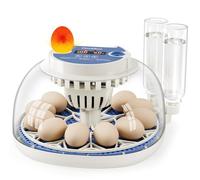 CluckRun Egg Incubator, Temperature and Humidity Display, Automatic Egg Turning, Egg Candler, Incubators for Hatching Eggs, External Water Bottle Refill, 12 Eggs Incubator for Chicken Quail Duck