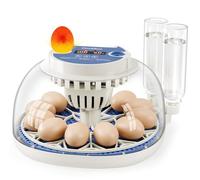 CluckRun Egg Incubator, Temperature and Humidity Display, Automatic Egg Turning, Egg Candler, Incubators for Hatching Eggs, External Water Bottle Refill, 12 Eggs Incubator for Chicken Quail Duck