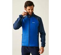 Clumber Hybrid Insulated Baffled Jacket Regatta Blue 5XL