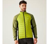 'Clumber IV' Hybrid Jacket Regatta Green XXL
