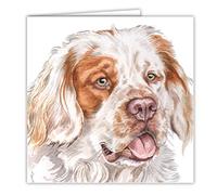 Clumber Spaniel Dog Art Card/Greetings Card (AC-197)