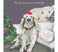 Clumber Spaniel dog in Santa hat Christmas card - May your days be merry and bright