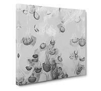 Cluster of Jellyfish Canvas Print | Gallery Wrapped 30mm Frame Wall Art | 20x20 inches | Ready to Hang | Abstract Picture | Living Room Bedroom Lounge Office