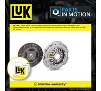 LuK 622 3019 09 Clutch kit