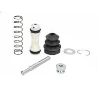 Clutch master cylinder repair kit 2501100 VALEO