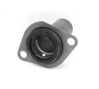 Clutch pilot bearing 5950009 SASIC for PEUGEOT CITROËN FIAT