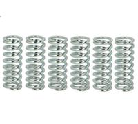 Clutch Spring Se TRW MEF145-6 for Honda CB 900 2002-2002