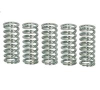 Clutch Spring Se TRW MEF149-5 for Honda CB 600 2007-2007