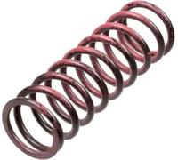 BMW F 700 GS 2017 [TRW Heavy Duty Clutch Springs]