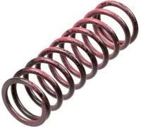 TRW Clutch Springs MEF313-6 Heavy Duty Reinforced Steel for BMW F 700 GS 2017