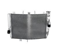 CLWYWUL Motorbike Radiators Compatible With ZX10R 2006 2007 Water Cooler Engine Radiator Cooling Radiator Coolant Catch Tanks Replaces OEM Number: 39061-0060