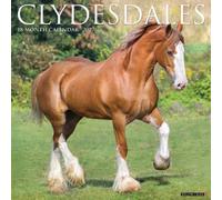 Willow Creek Press, Clydesdales Horses 2027 Wall Calendar