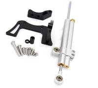 Clynex For Dualtron, for Thunder, 2 ll Electric Scooter Accessories Anti-Vibration Anti-Jitter Steering Stabilizer Damper Kit Scooter Steering Shock(BLACK Silver Set)