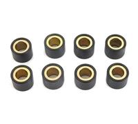 Clynex Roller Weights, SES125 Dylan, Dink 125i