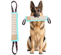 Clysoru Dog Tug Toy Tough Jute Bite Pillow Lasting Training Equipment Puppy to Large Dogs Interactive for Large and Small (Mint Green)