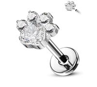 CM Crareesi Mania Titanium Helix Stud Paw Conch Tragus Piercing Jewellery 16G 8mm Forward Labret Lip Stud Heart Clear CZ Flat Back Cartilage Earrings Piercing Jewelry for Women Men