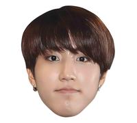 CM265 Han Stray Kids Single Cardboard Face Mask