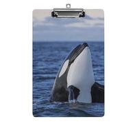 Cmagnifico A4 Clip Board, Killer Whales Orca Clipboard, Acrylic Clipboards for Office, School