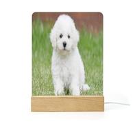 Cmagnifico Acrylic Night Light,Bichon Frise Dog, USB Port, Gift for Friends, Family, Lovers
