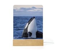 Cmagnifico Acrylic Night Light,Killer Whales Orca, USB Port, Gift for Friends, Family, Lovers