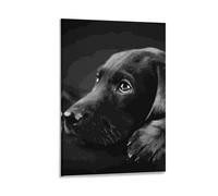 Cmagnifico Framed Canvas Wall Art,Black Labrador Puppy Art, Single Hanging Picture for Living Room Bedroom Decor