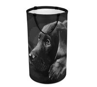 Cmagnifico Laundry Hamper, Black Labrador Puppy Art Laundry Basket, Large Washing Basket with Handle