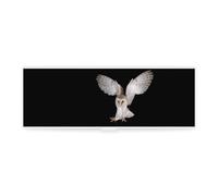 Cmagnifico Pencil Case, Barn OwlCreative Simple Stationery Box,19.5x6.8x3cm