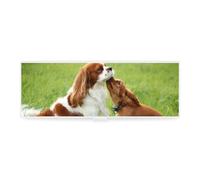 Cmagnifico Pencil Case, Cavalier King Charles SpanielCreative Simple Stationery Box,19.5x6.8x3cm