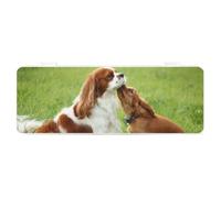 Cmagnifico Pencil Case, Cavalier King Charles SpanielCreative Simple Stationery Box,19.5x7.1x2.7cm