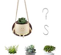 CMANLNYK Swing Hanging Face Planter Pot - Resin Cute Plant Pot Smile Face Flower Pot for Succulent Planter Pet for Garden Indoor Outdoor Home Office Decor Gift (Small Size)