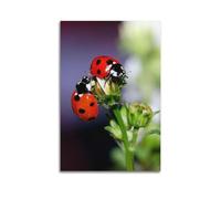 CMHONLY Animal Ladybugs Leaning Against Each Other on Flower Bud Poster Modern Wall Art Canvas Aesthetic Decoration Painting 24x36inch(60x90cm) Unframe-style