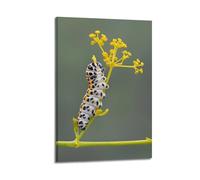 CMHONLY Animal Realistic Caterpillar Crawling on Leaf Poster Modern Wall Art Canvas Aesthetic Decoration Painting 20x30inch(50x75cm) Frame-style