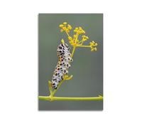 CMHONLY Animal Realistic Caterpillar Crawling on Leaf Poster Modern Wall Art Canvas Aesthetic Decoration Painting 16x24inch(40x60cm) Unframe-style