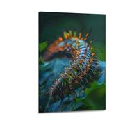 CMHONLY Animal Spiny Caterpillar Crawling on Green Leaves Poster Modern Wall Art Canvas Aesthetic Decoration Painting 20x30inch(50x75cm) Frame-style